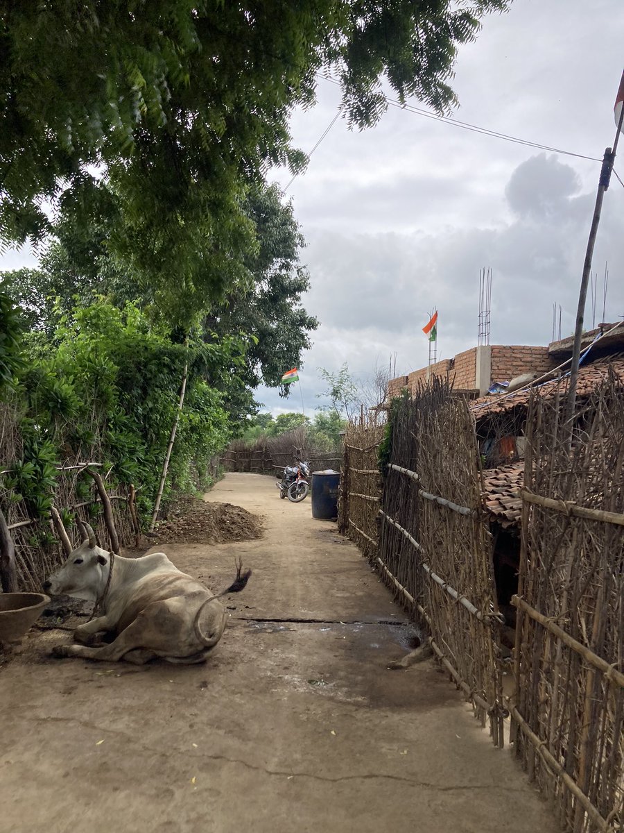 jyoti_seva's tweet photo. हर घर तिरंगा की एक तस्वीर सीधे मेरे गाँव से। #JaiHind https://t.co/zvea8ILeRp