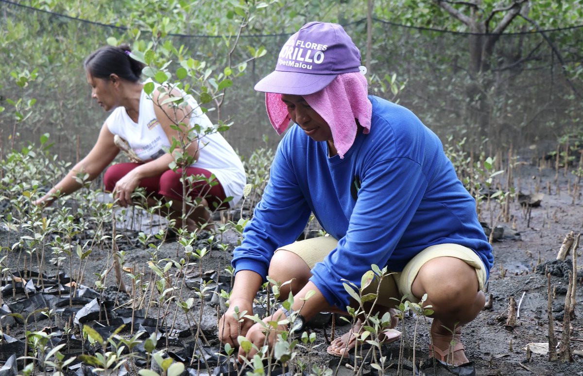 Ocean health is key for this planet and its people to thrive 🌏👫 A @UNDP and @theGEF-supported project is supporting the protection of marine ecosystems such as #mangroves, seagrass beds, and #coralreefs: wrld.bg/iqRz50KcxJZ