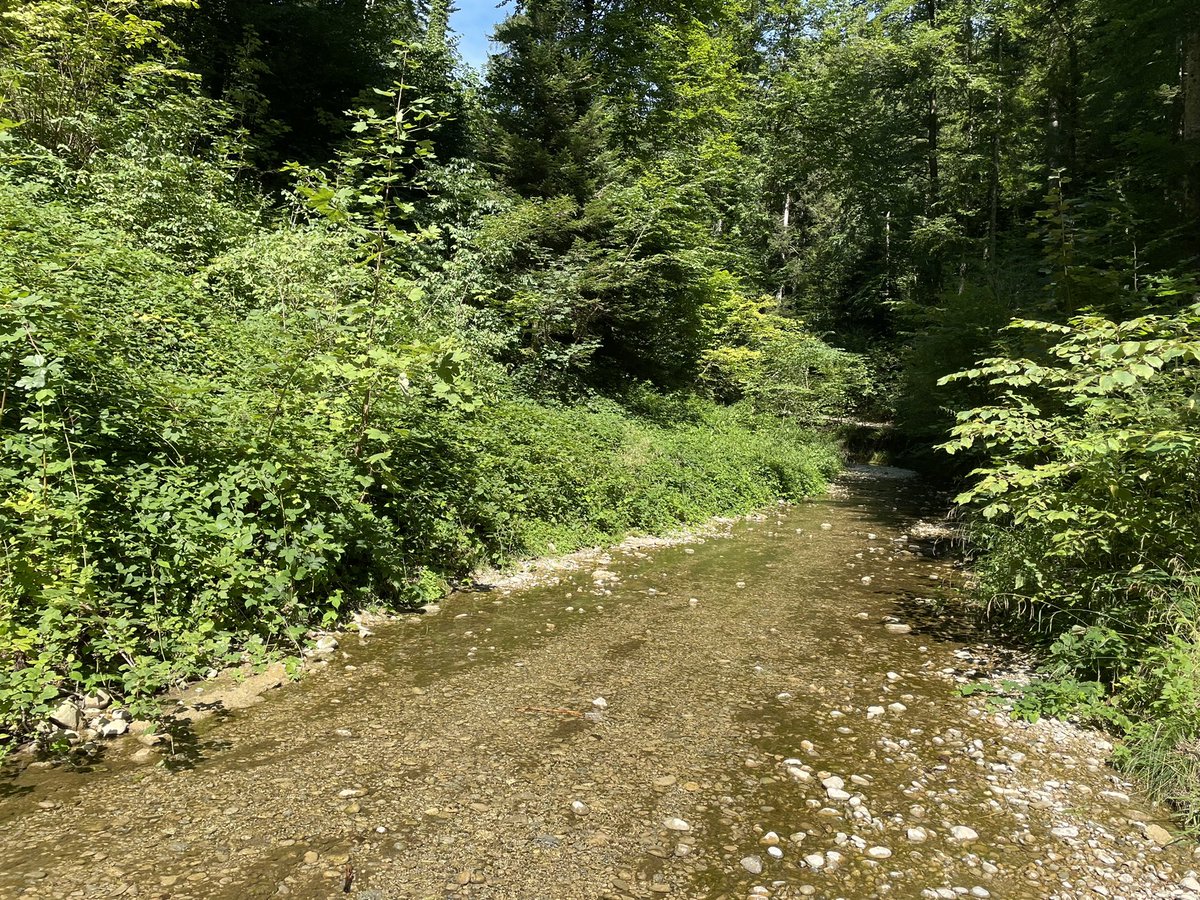 ChiefCho's tweet photo. Mensch war mit uns am Bach. War so schön! https://t.co/xTGnIMYAeX