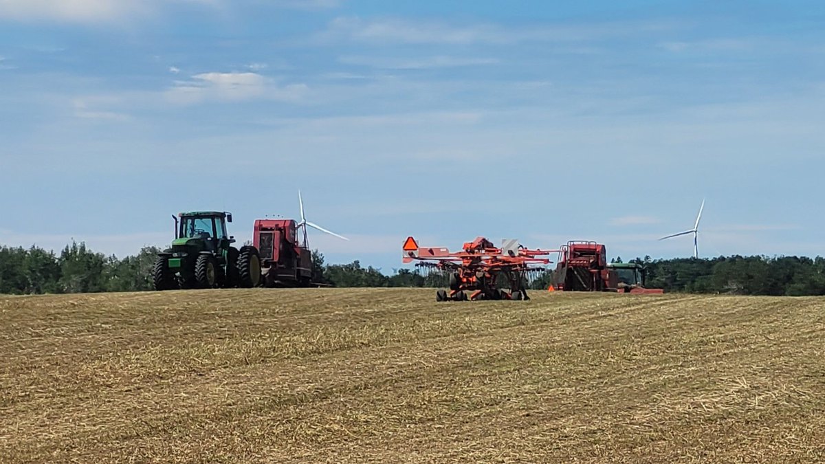 Neighbour doing his 1 cut for the year, while the old beef farmer has all his bales off the field and is starting second cut...