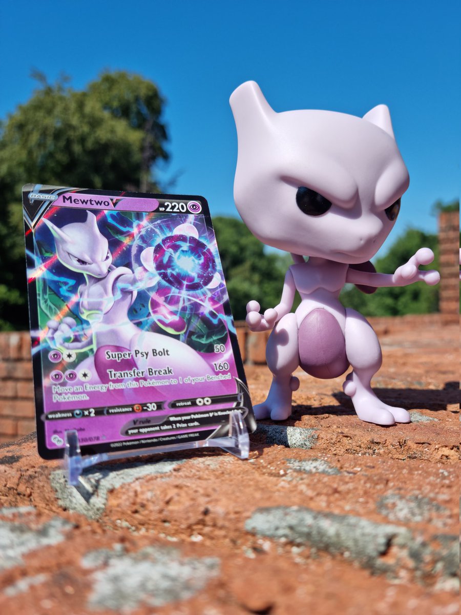its_bulbae's tweet photo. MewTwo training in the sun 💜 https://t.co/TrDRfPjzeL