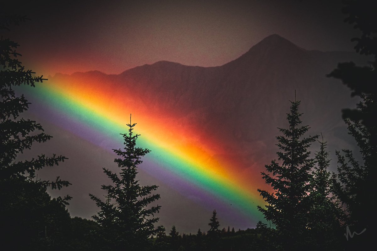 NorwoodColorado's tweet photo. Somewhere over the rainbow…there’s a pot of gold waiting to be found!

Photo: @LesbianLens 

#norwoodcolorado 
#coloradoredefined
#westendcolorado 
#coloradorainbow 
#rainbowseason 
#mountainrainbow
#uncompahgrenationalforest 
#westslope 
#telluride 
#colorado https://t.co/PIYQgXhZ28