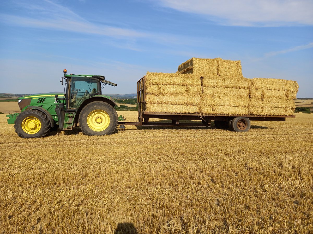 LynwenWilliams3's tweet photo. Cracking day to haul straw. https://t.co/nwF09itpYA