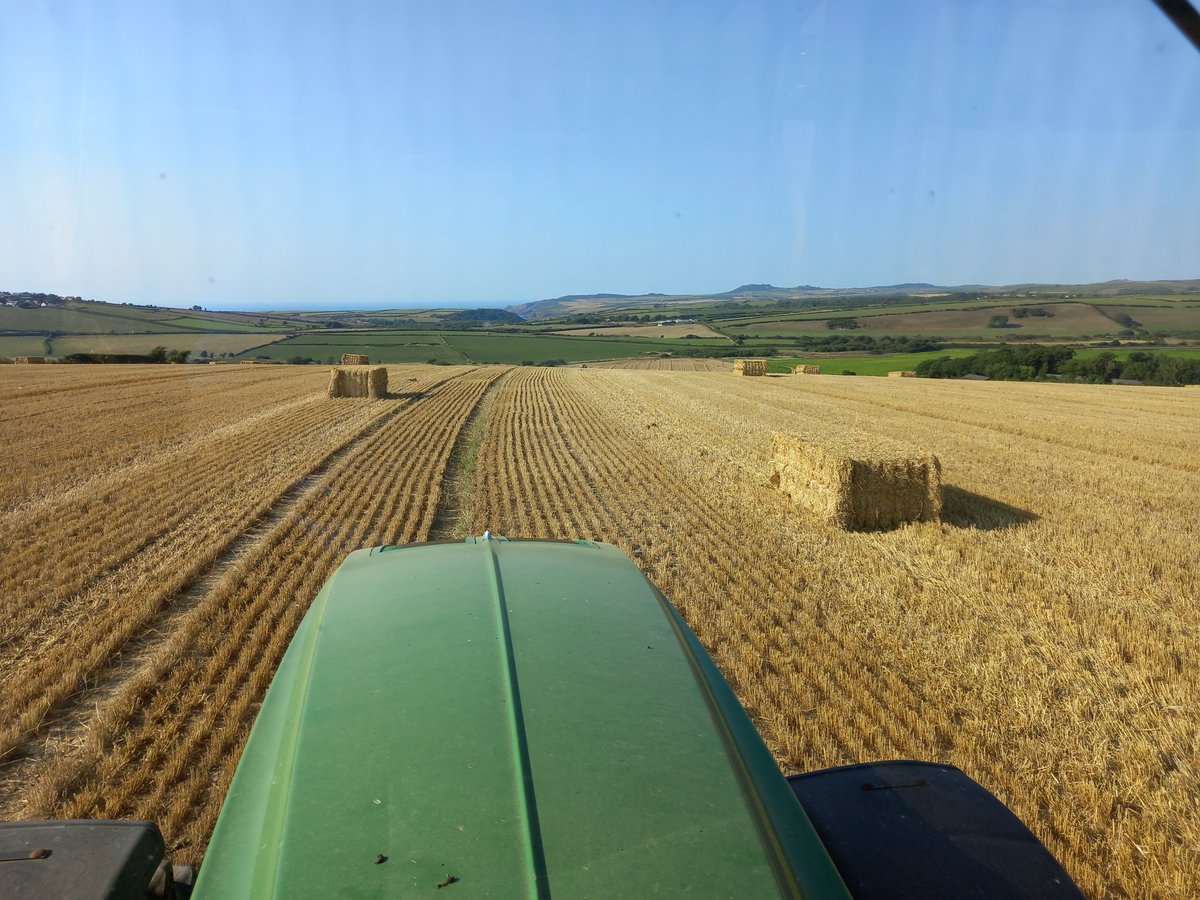 LynwenWilliams3's tweet photo. Cracking day to haul straw. https://t.co/nwF09itpYA