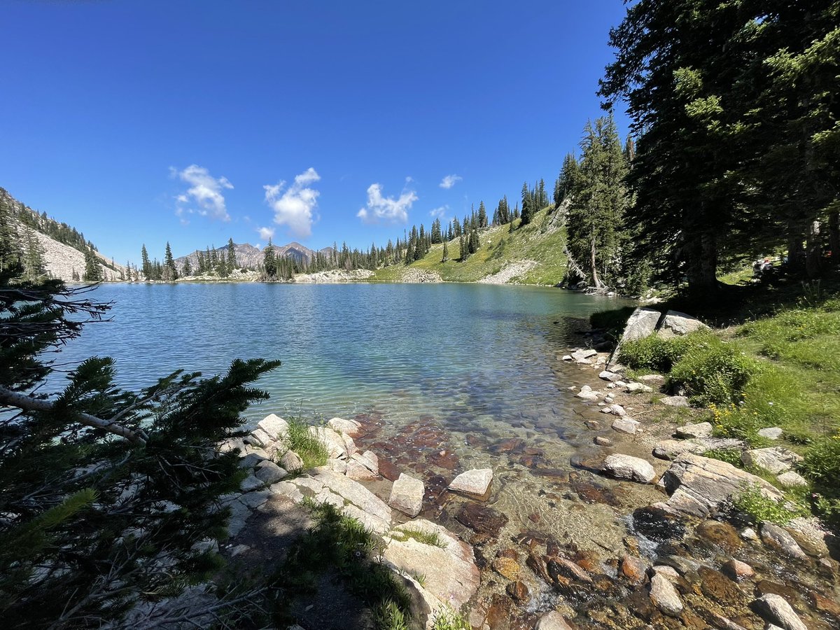 Ruth H Lewis-Smith (@ruthhlewissmith) on Twitter photo What a 6 weeks! <a href="/UNM/">Univ. of New Mexico</a> ‘s #ISOCAMP22 & <a href="/UUtah/">University of Utah</a> ‘s #SPATIAL22. It has been quite the rollercoaster of ‘yes I get it 🙌’ to ‘I am massively out of my depth and want to go home and have a little cry 😫🤣’ and back. So lucky to have met so many current (and future) isoPOPES 😆 <a href="/SUERC1/">SUERC</a> What a 6 weeks! <a href="/UNM/">Univ. of New Mexico</a> ‘s #ISOCAMP22 & <a href="/UUtah/">University of Utah</a> ‘s #SPATIAL22. It has been quite the rollercoaster of ‘yes I get it 🙌’ to ‘I am massively out of my depth and want to go home and have a little cry 😫🤣’ and back. So lucky to have met so many current (and future) isoPOPES 😆 <a href="/SUERC1/">SUERC</a>