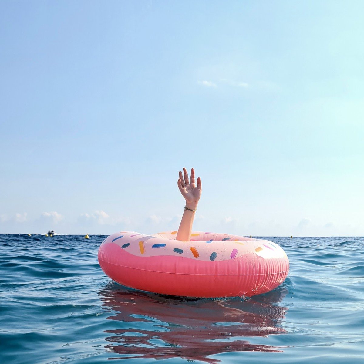 auclairde's tweet image. 