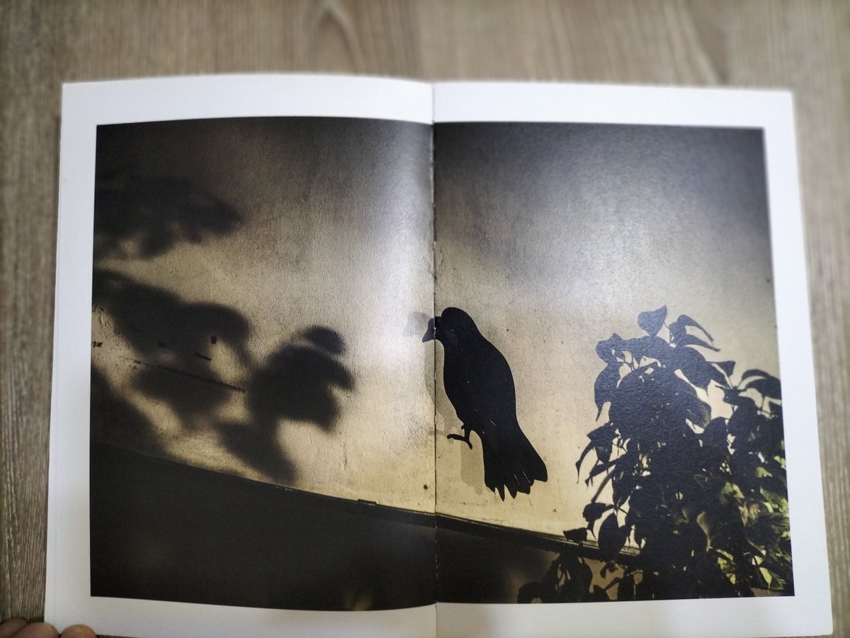 Şafakla birlikte silinirim,
koyu bir gölge kalır
yalnızca gözünün üzerinde. ( #AslıErdoğan ) 
Fotoğraf: #laleperaytek