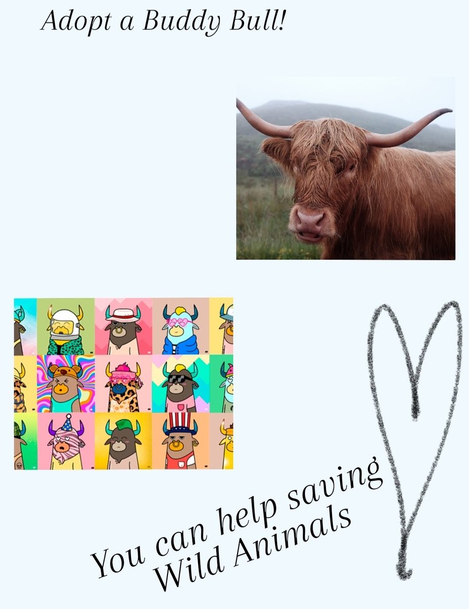 New Drop Listed!!
New Wild Buddy Bulls waiting to be adopted🤎🐂
Let's save wild animals!
Special offer➡️ Buy 1, Get 1 Free📢
Welcome to our Wild family💚🌍
linktr.ee/buddybulls 
#nft,#NFTCommunity, #NFTs, #NFTartist, #wildanimals