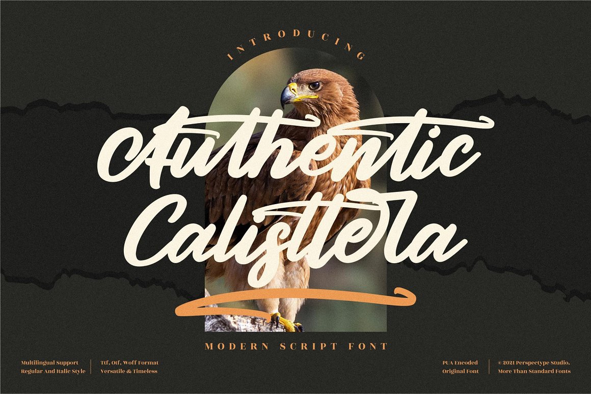 fontriver's tweet photo. Authentic Calisttera font designed by Perspectype Studio
https://t.co/OmV5euxACk

#script #fonts #typography #design #webdesign #lettering #font #type #typeface #brand #branding #branddesign #brandingdesign #menudesign #menuboard #inspiration #italic #bold #ttf https://t.co/tVKRNqxAfc