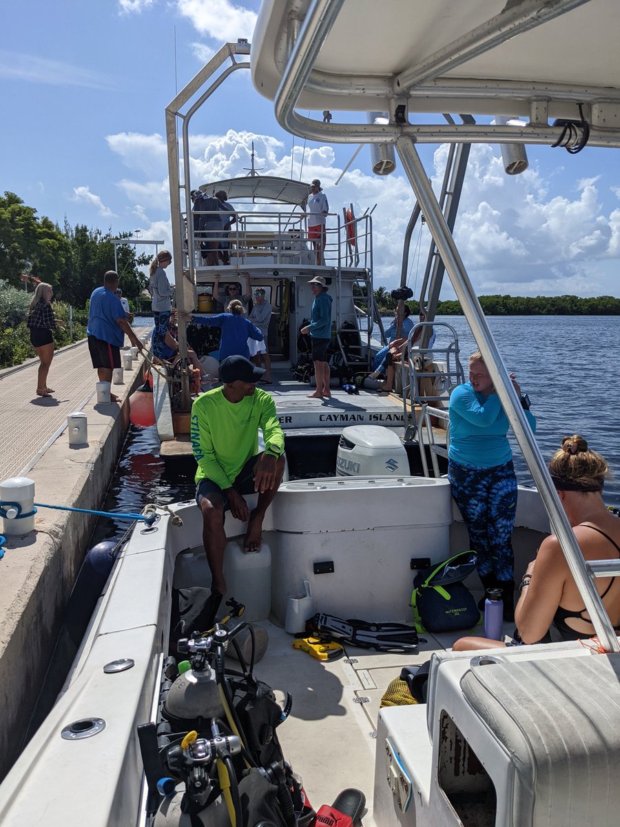 The Coral Health and Marine Probiotics Lab (@polypprotectors) on Twitter photo <a href="/Kelly__Pitts/">Kelly Pitts</a> lead a team in Grand Cayman to show how to use probiotics to treat corals with #SCTLD along their reefs! Although no bacteria was involved this time, everyone now knows how to use our bagging and paste methods! Great job, Kelly! <a href="/Kelly__Pitts/">Kelly Pitts</a> lead a team in Grand Cayman to show how to use probiotics to treat corals with #SCTLD along their reefs! Although no bacteria was involved this time, everyone now knows how to use our bagging and paste methods! Great job, Kelly!