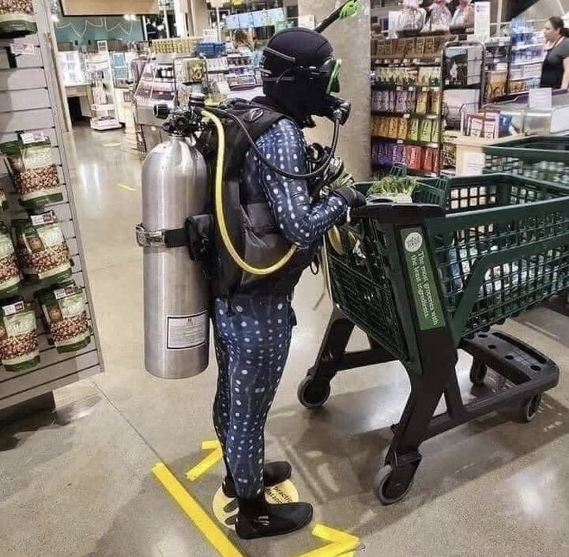 kirawontmiss's tweet photo. grocery shopping in 2020 was an extreme sport https://t.co/hZCzU7NZtp