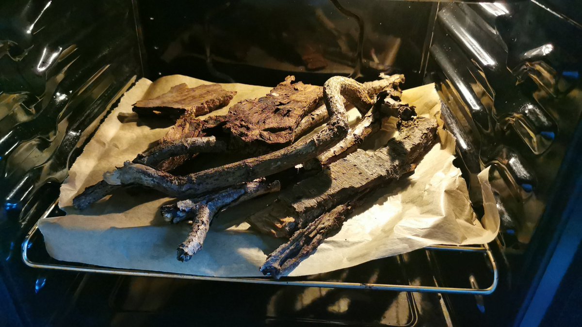 Jagd war erfolgreich. Gleich wird das erste Terrarium eingerichtet.