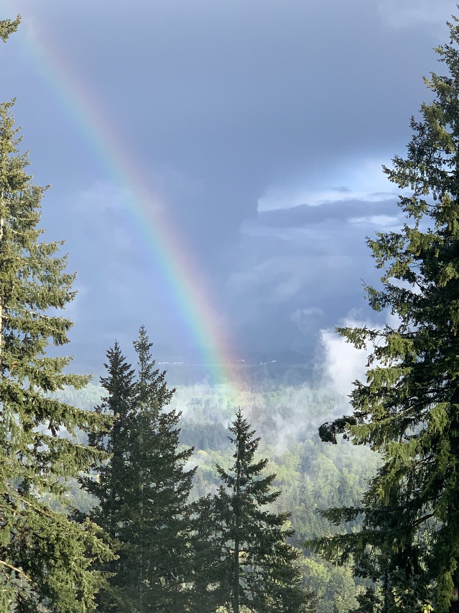 Universal wisdom is always here. We can choose to look through this lens. Our personal stories are here too - we don’t have to indulge them. We can lighted up - open up and remember we are Noble, Awesome and Shiny.