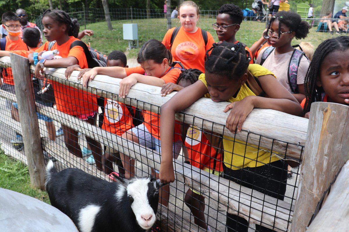 GramenAction's tweet photo. Éduc - Plaisirs - Camp d'été francophone 2022
Deuxième sortie éducative de la semaine: Toronto Zoo https://t.co/I9kUSMy8wr