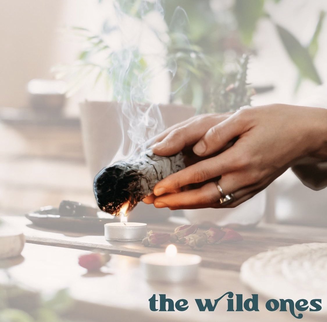 The Wild Ones (@we_arewildones) / Posts / X