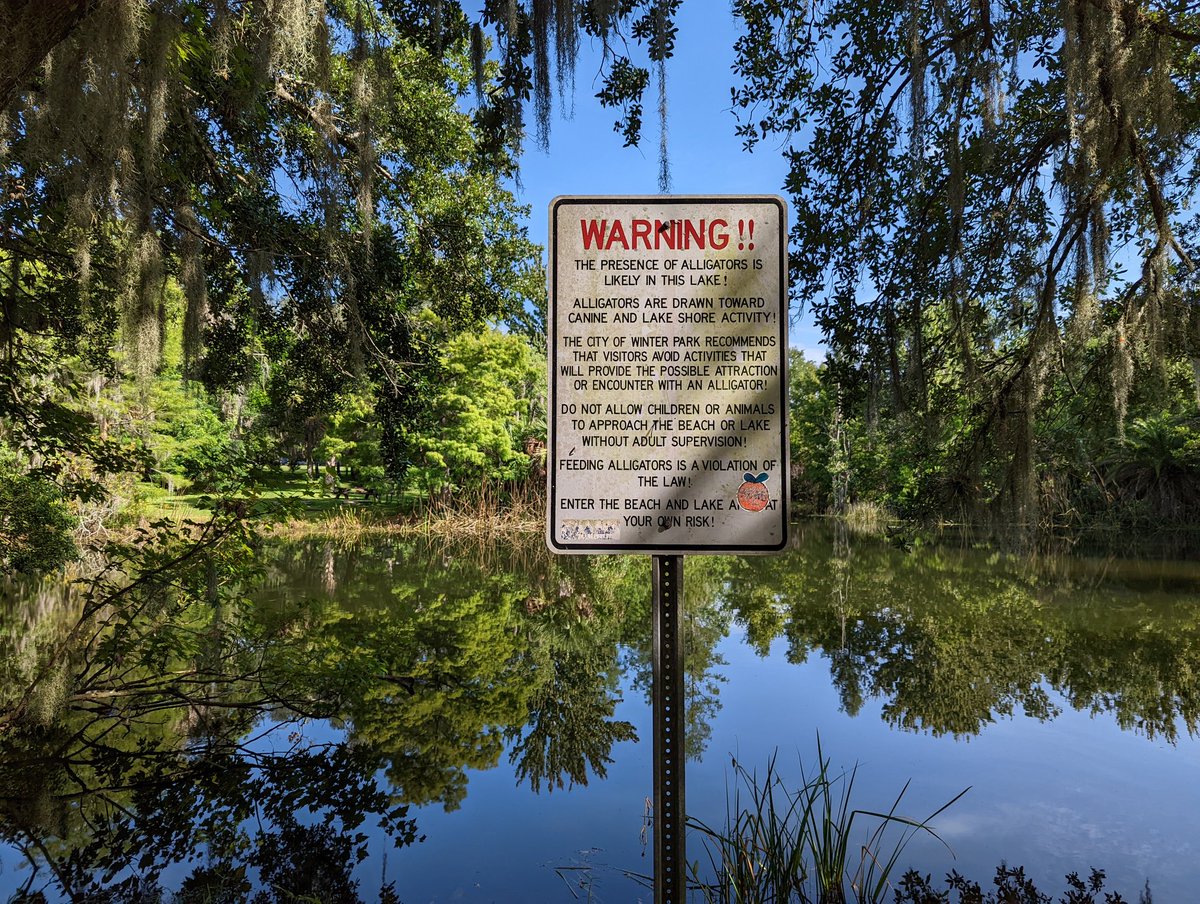 1amazingnature's tweet photo. Out filming today for the next videos. Here's part of our fun today 😊 . Guess it's another look out for gators afternoon for us lol. https://t.co/0cA0Wuapg7