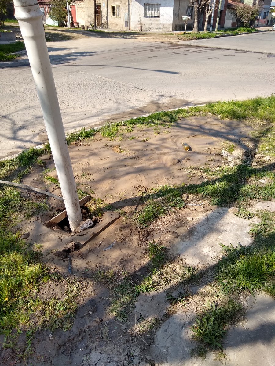 beatriz beatriz tweet media