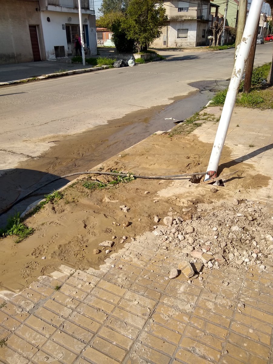 beatriz beatriz tweet media