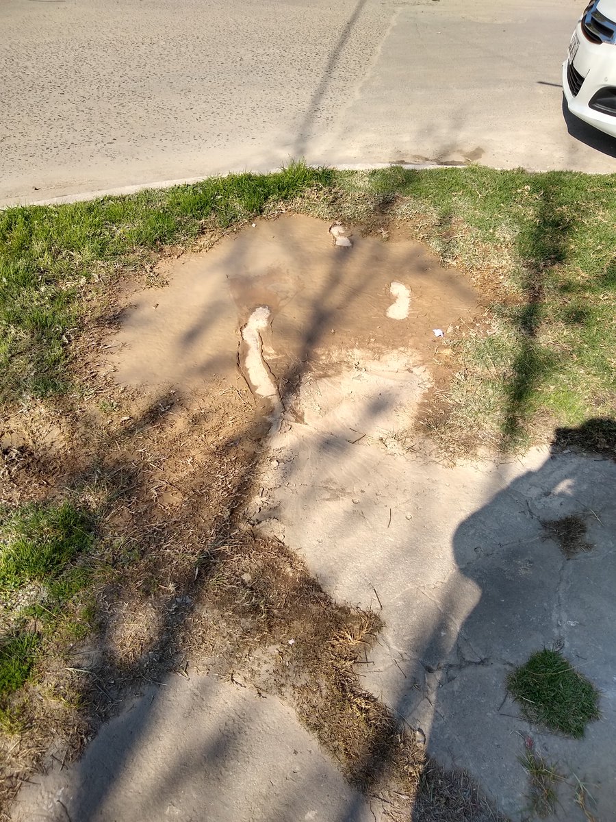 beatriz beatriz tweet media