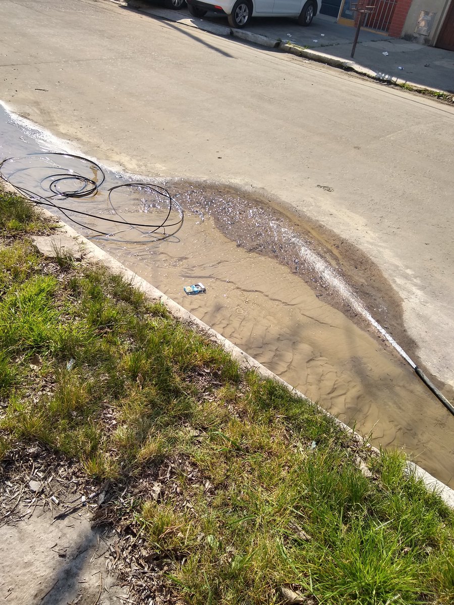 beatriz beatriz tweet media