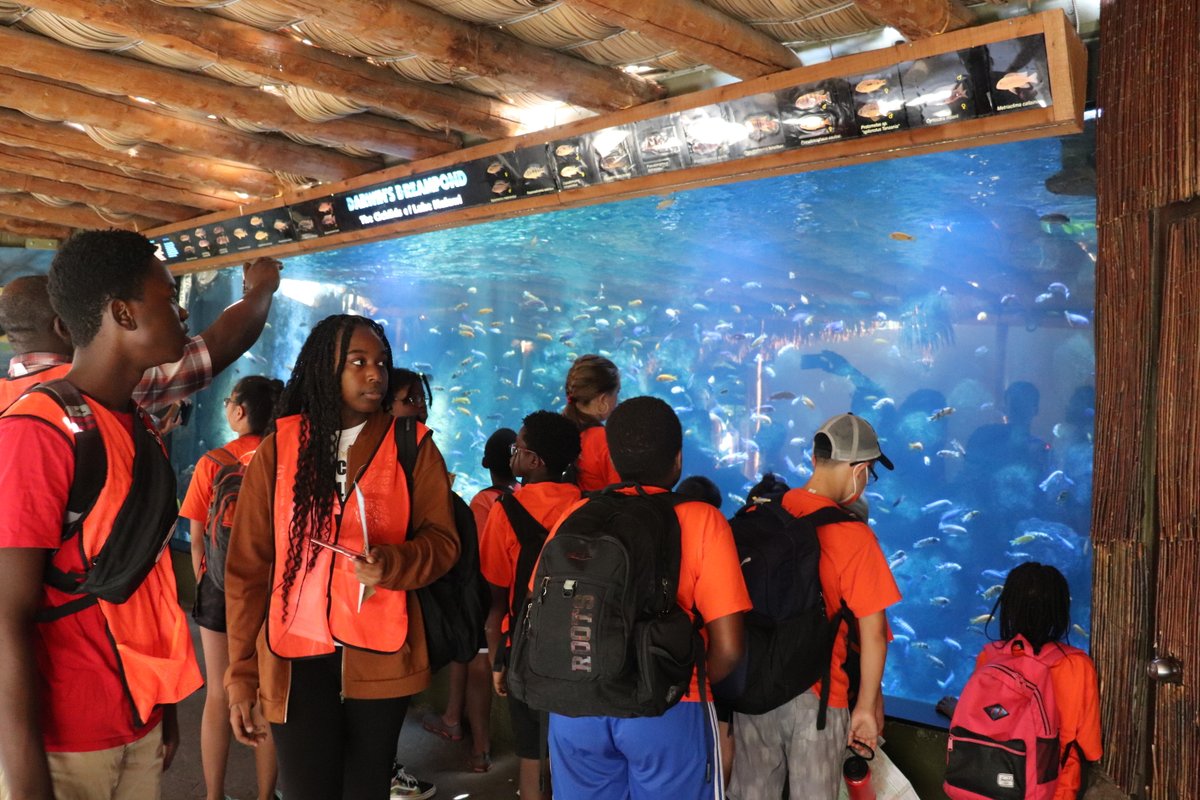 GramenAction's tweet photo. Éduc - Plaisirs - Camp d'été francophone 2022
Deuxième sortie éducative de la semaine: Toronto Zoo https://t.co/I9kUSMy8wr