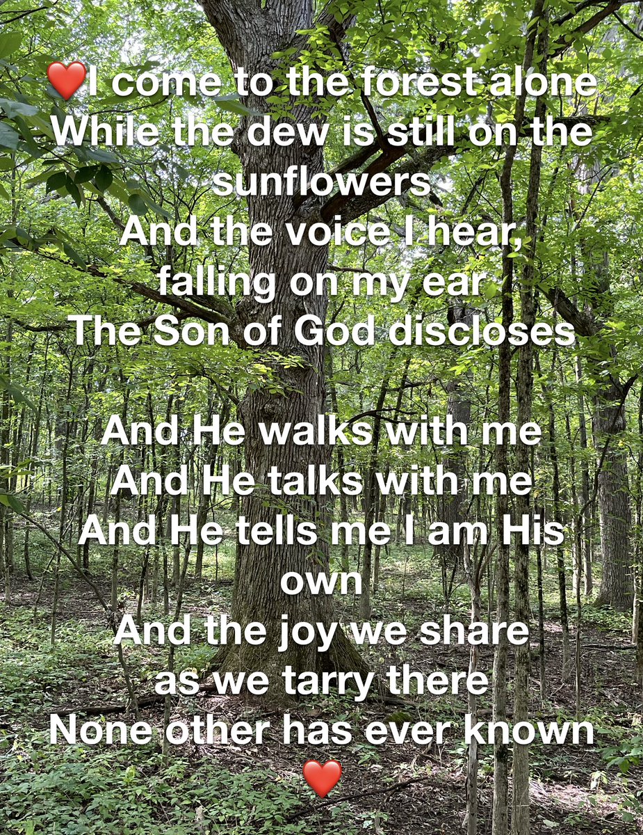TammiBauske's tweet photo. The weather & schedule finally aligned to allow some much needed time in the forest with my dearest Friend! (Forgive the creative liberties, please.) #NothingSweeter #FriendshipWithJesus #FellowshipDivine #WhoAmI https://t.co/27UC0Vo8f2