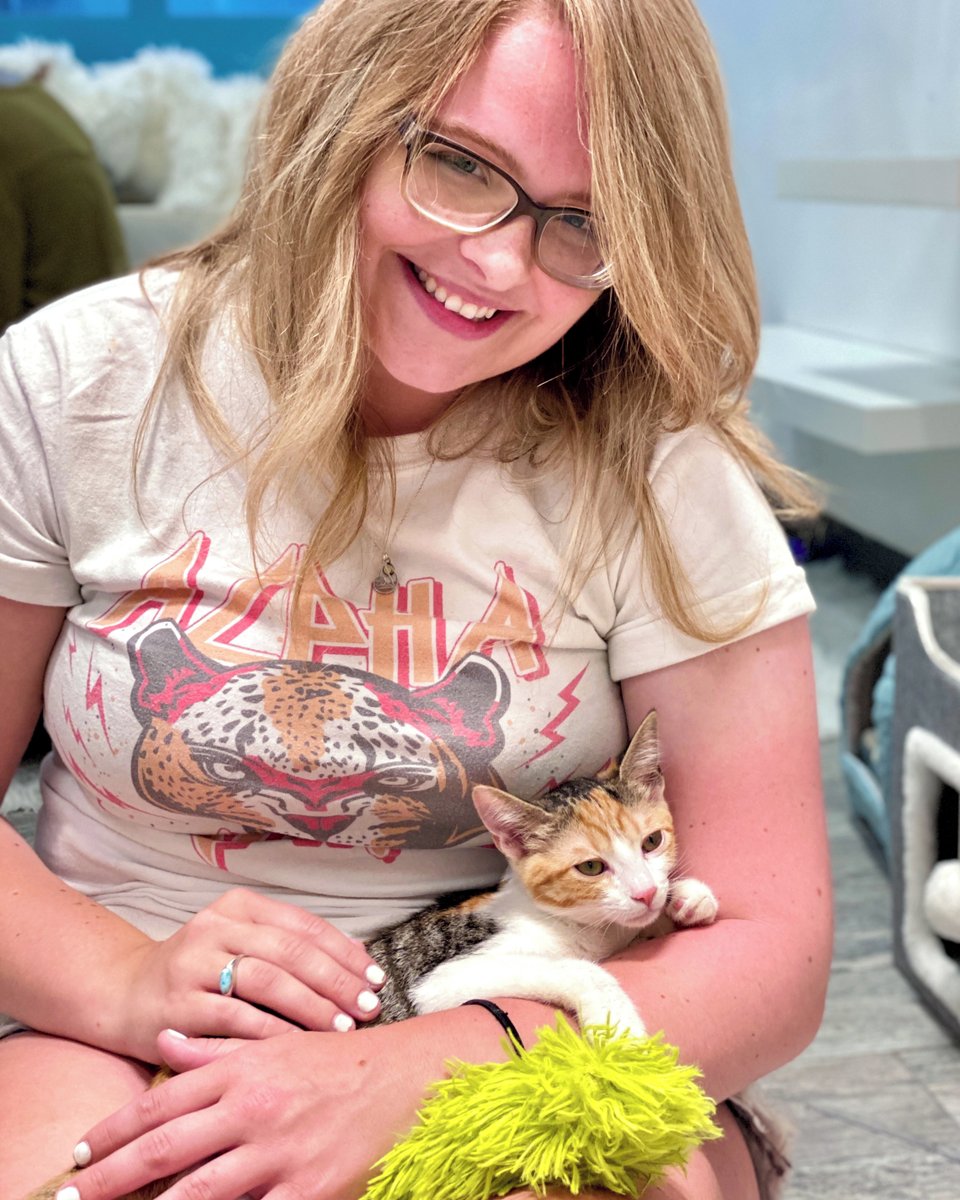 CatCafe Lounge tweet media