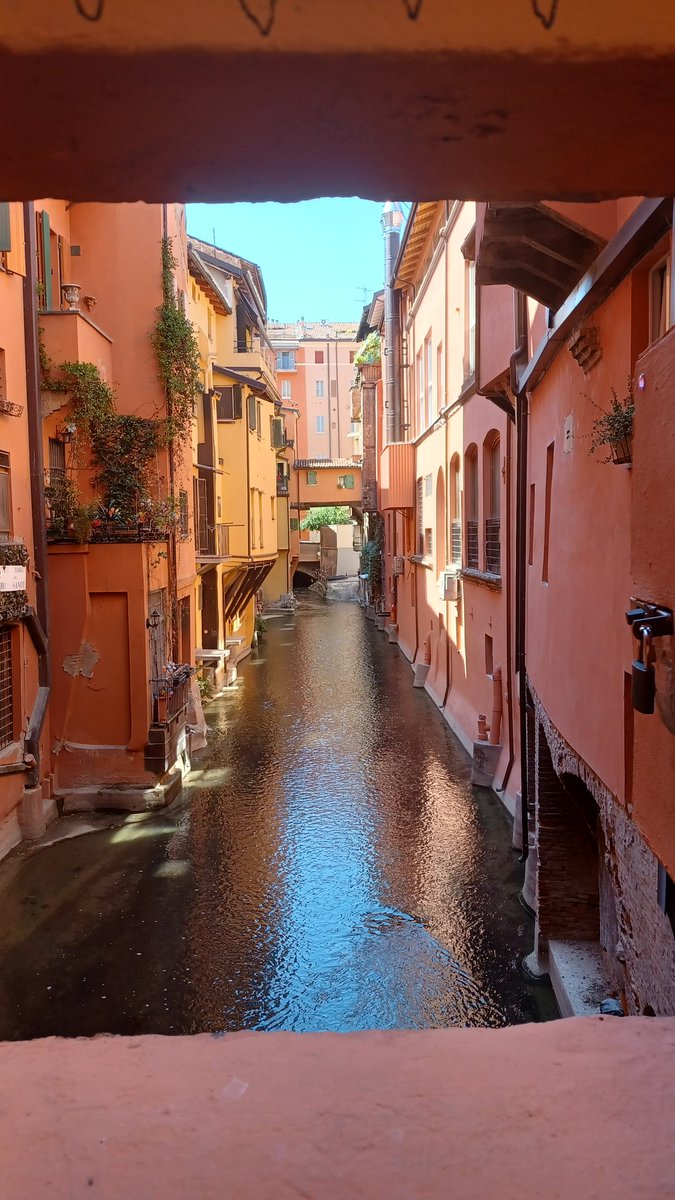 Un sabato bolognese 
#LaFinestrella #Bologna 
(📷 mia)