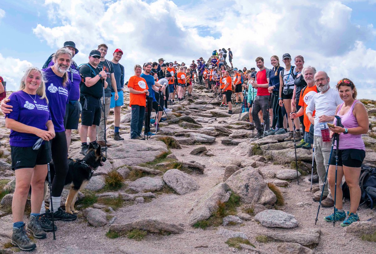 Jane Barlow tweet media