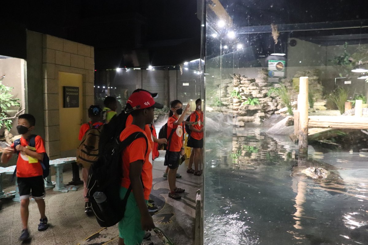 GramenAction's tweet photo. Éduc - Plaisirs - Camp d'été francophone 2022
Troisième sortie éducative de la semaine: Reptilia Zoo
Les élèves ont surmonté leurs peurs en découvrant tout sur les reptiles, les amphibiens et les arachnides. https://t.co/58hUMCoXzd