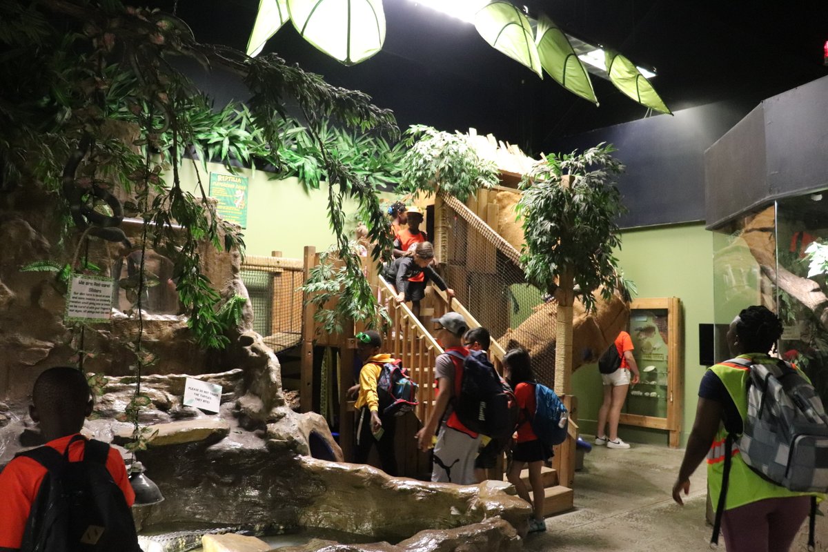 GramenAction's tweet photo. Éduc - Plaisirs - Camp d'été francophone 2022
Troisième sortie éducative de la semaine: Reptilia Zoo
Les élèves ont surmonté leurs peurs en découvrant tout sur les reptiles, les amphibiens et les arachnides. https://t.co/58hUMCoXzd