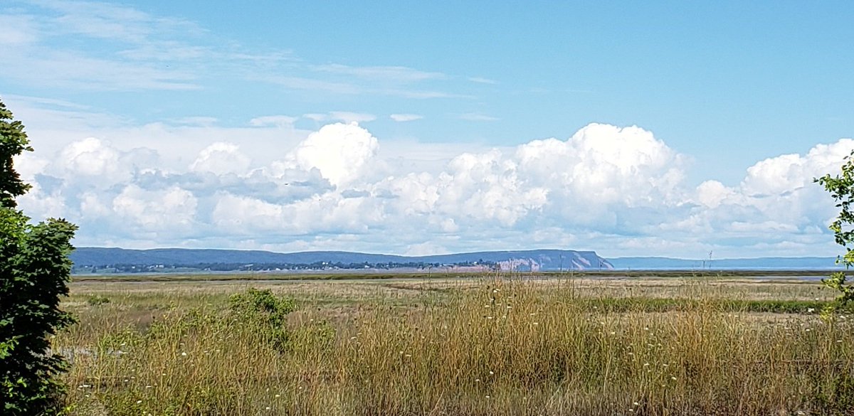 A beautiful day to walk the #harvestmoontrail #AnnapolisValley <a href="/TownOfWolfville/">Wolfville</a>