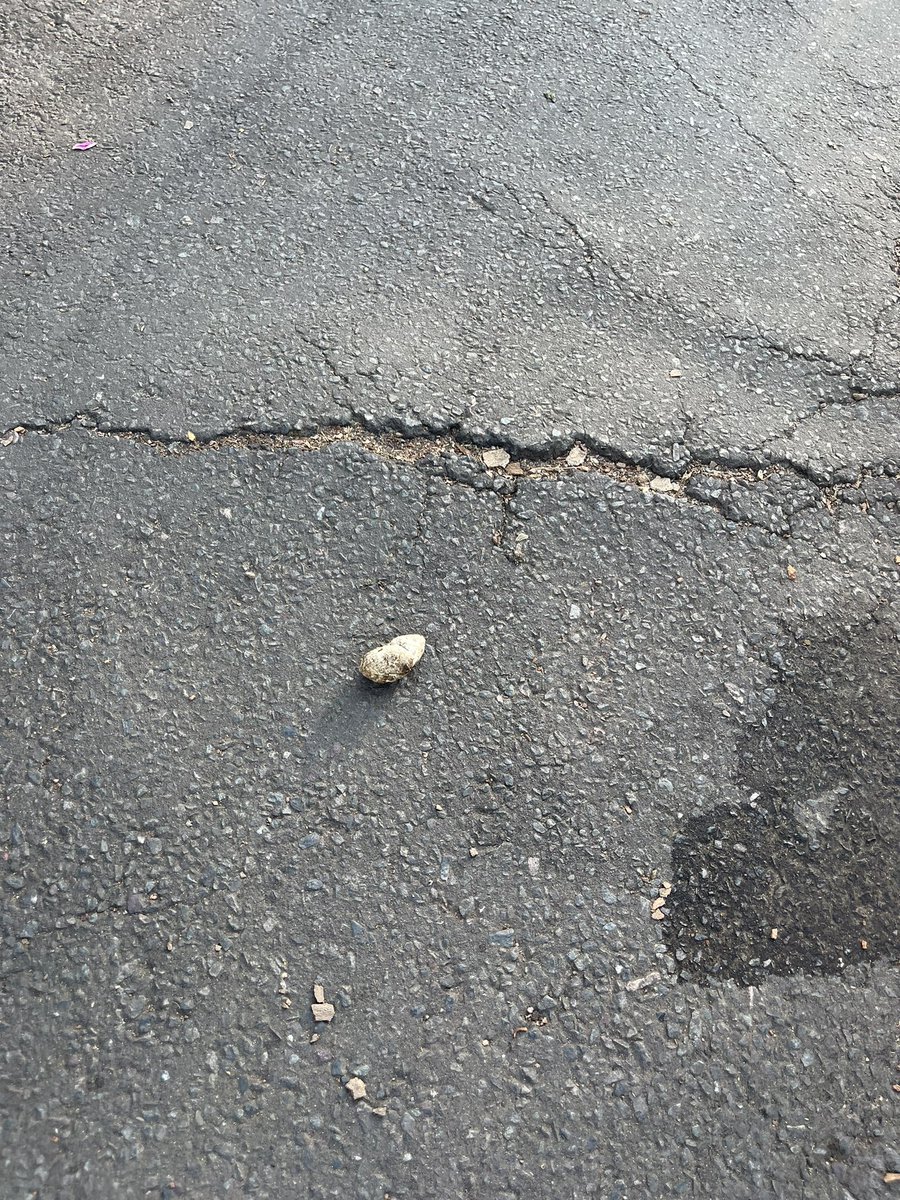 Al Murray 🇺🇦 tweet media