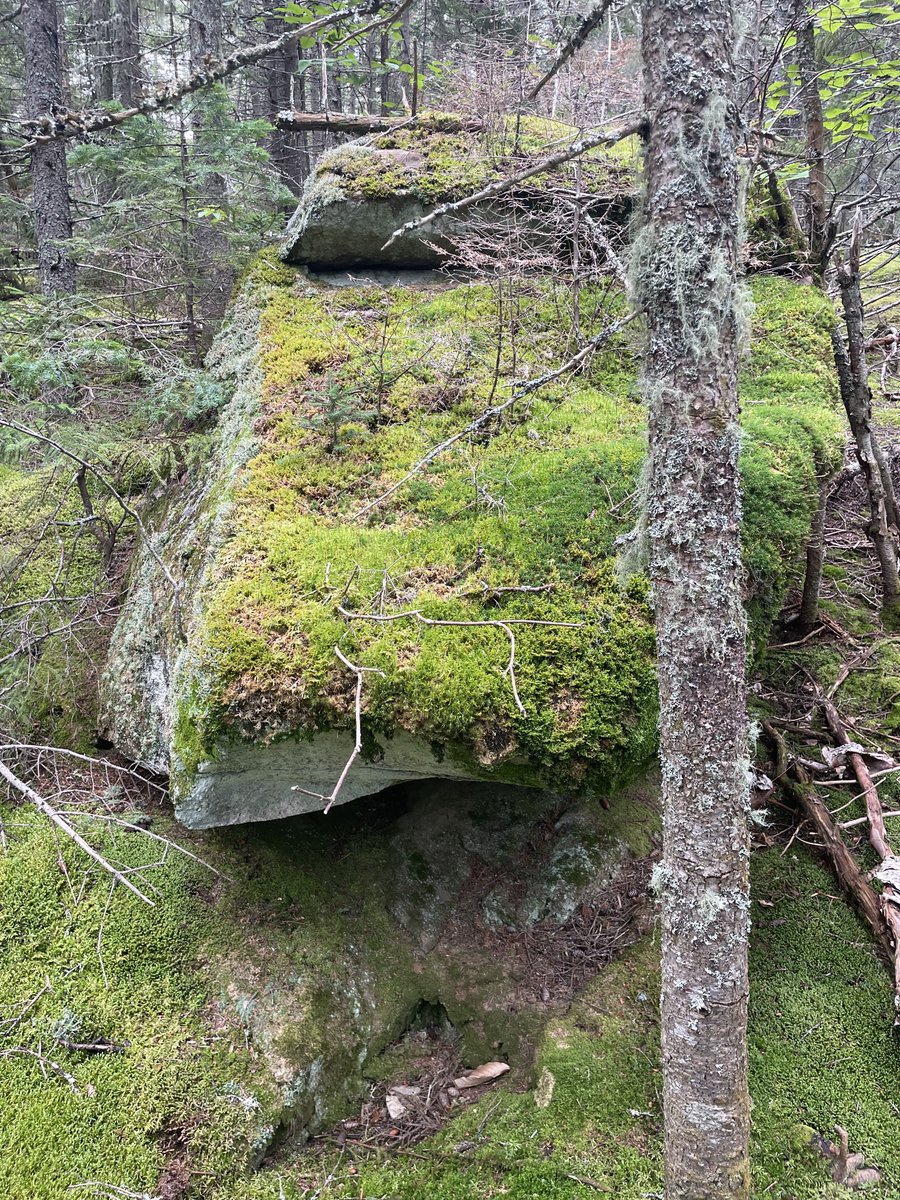 blacksciblog's tweet photo. First trainee to find this picture gets a round on me
#GRSStrepBio22
#StrepYourGameUp https://t.co/8gprVOR32c