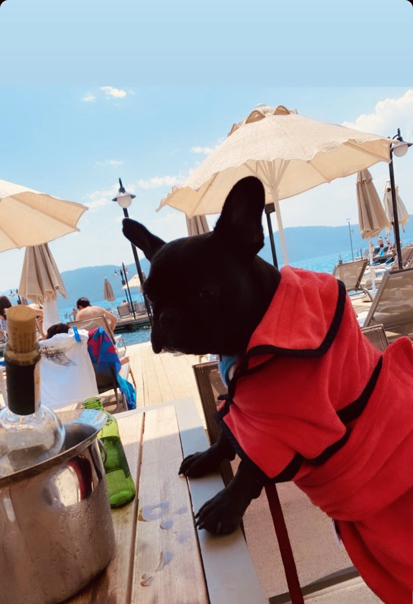 AriCemrek's tweet photo. I’m sexy and i know it babe🖤 Akyaka lover 🫶🏼 https://t.co/HO7Q6LDrha