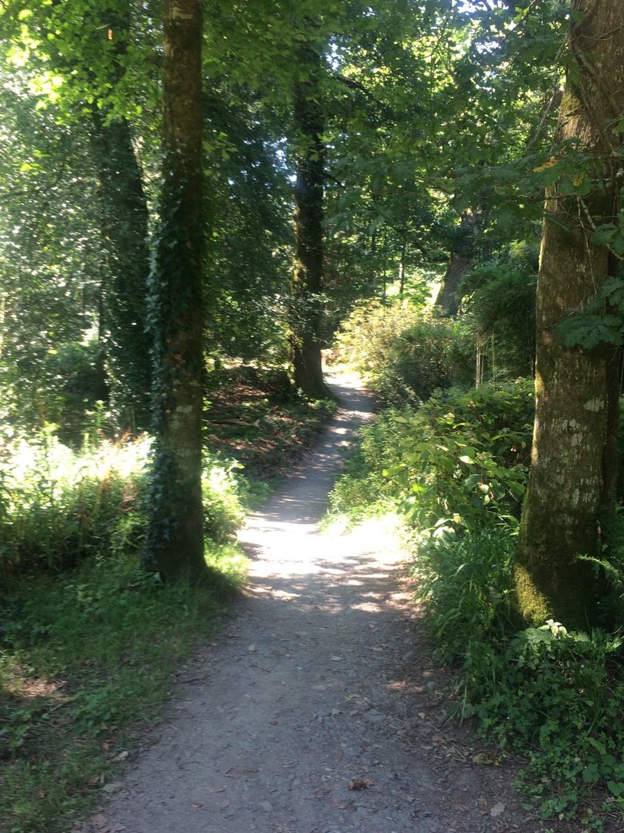 The plants in our glasshouse absolutely love this hot weather! But if you prefer the something a little cooler, there are many areas of our woodland gardens in complete shade. Explore Peach House Woods with its winding paths and ancient trees, and hide from the sun for a while...