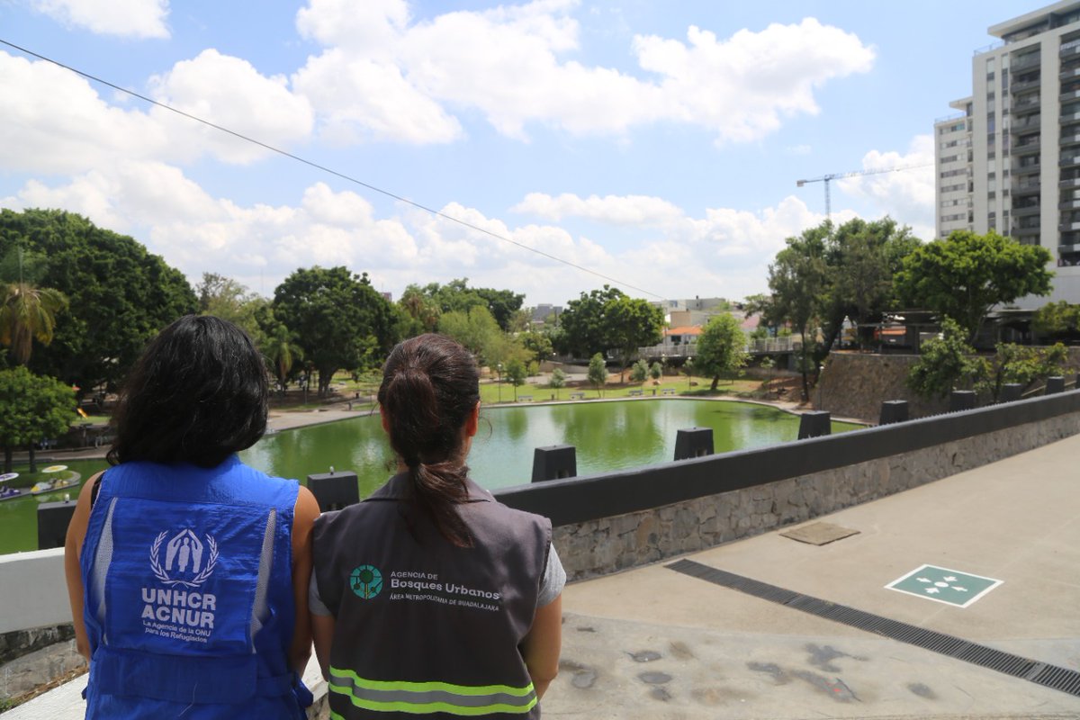 ALDO_FABRI's tweet photo. Estas son algunas imágenes del "Parque Alcalde, escenario de encuentro" el cual, deben visitar y disfrutar. @AcnurMexico @BosquesAMG @GobiernoJalisco @IMEPLAN @comar_sg @FabiolaLoyaMC https://t.co/I00mTkkf49