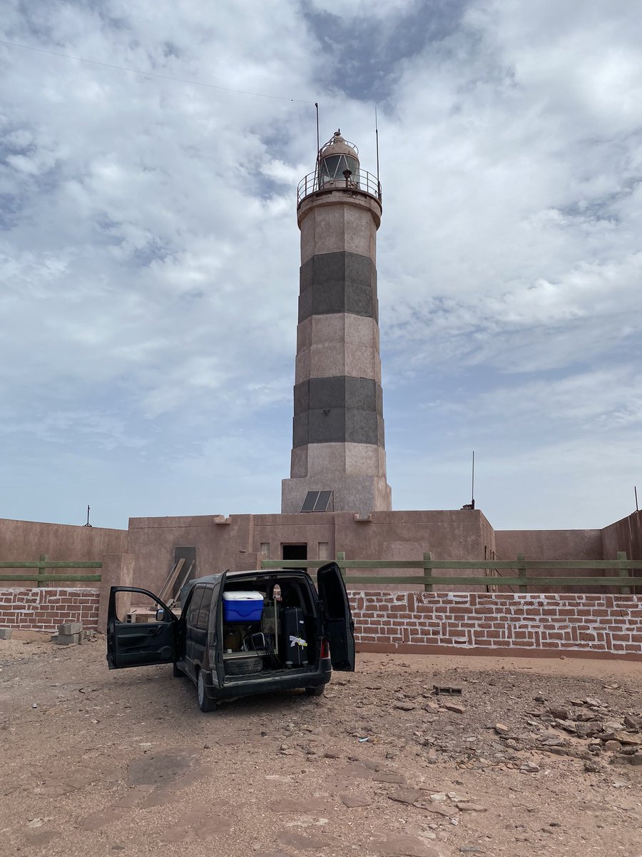 PA5X_HAM's tweet photo. Participating in the #WAE #CW #Contest #waecw from Cap Blanc, Mauritania π²π· #5T5PA #hamradio #hamr #yaesu #ftdx101mp #begalikey #heil https://t.co/DwiDVlqPDj