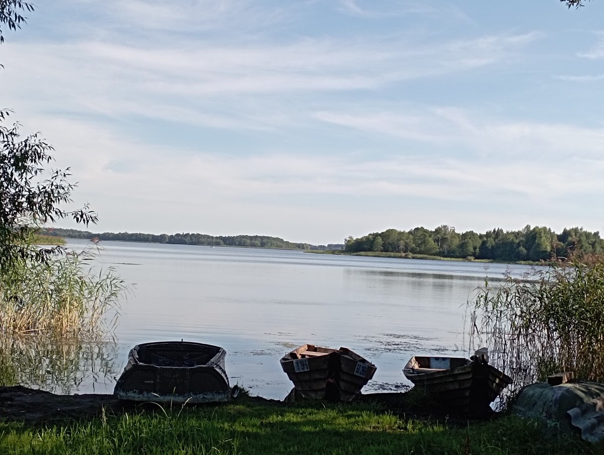 Сінявокая Беларусь 💠
#Belarusnature #FreeBelarus #BeautifulLakes