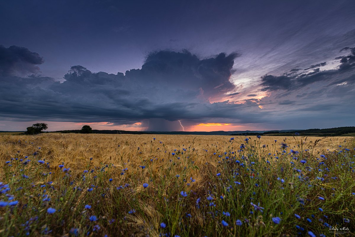 Abendgewitter über der Rureifel am 23.06.22

Mehr Impressionen: huertgenwaldwetter.de/chasing-und-be…

#Sommer #Sommer2022 #Eifelwetter