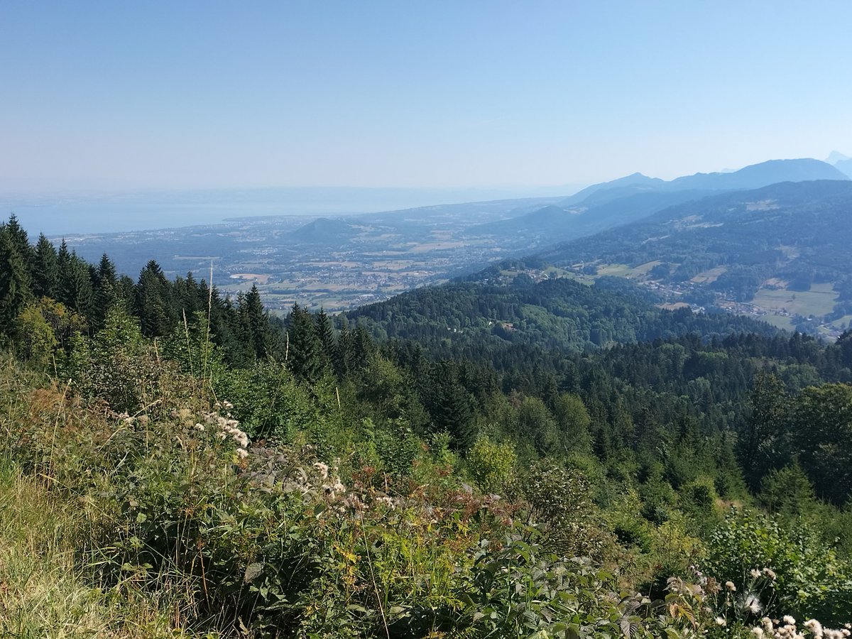 ChRolandMaths's tweet photo. Col de Saxel par Bons suivi de la montée vers le monastère de Bethléem 🚵😛🤩
#faitesdusport #faitesduvélo #nature #bienêtre #bonheur
#bons #chablais #hautesavoie #dpt74 #yaute #france
😉 @sache_martine @YoduLeman @classeTICE @BrossardMathHEC @petitegraine255 @EdithPY2 https://t.co/0QJuiC1QHT