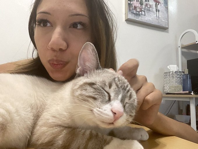 Be happy like the kitty 😸💖 https://t.co/VLgL8Bwh3W<a href="/tag/mvsales"class="tags"><span>#mvsales</span></a>