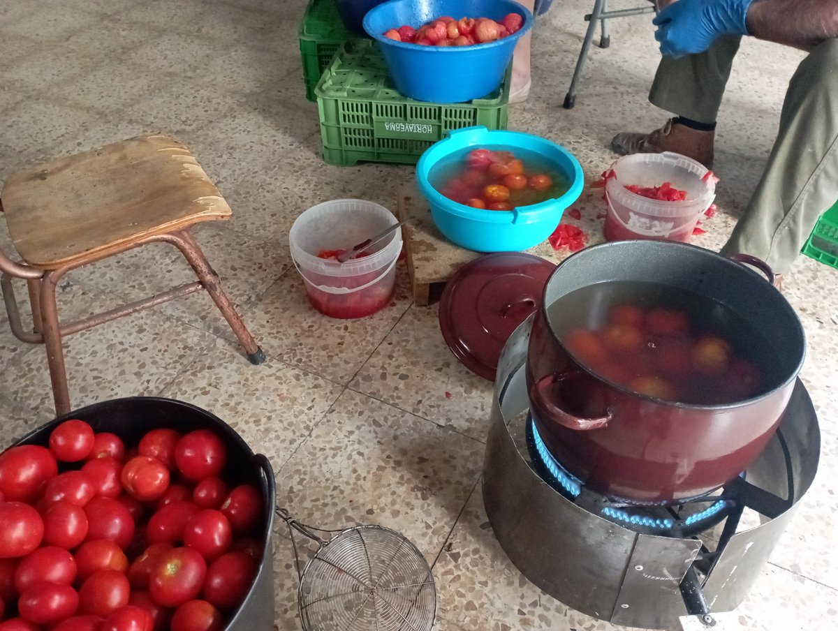 MiguelMadrugaV's tweet photo. En el pueblino seguimos haciendo las cosas tradicionales. Guardar para tener en invierno. Seguro que + barato que esto es ir a supermercado y comprarlo, pero los huevos fritos o arroz a la cubana no sabrían a na. Próximo episodio: conservas #pueblu #cultura #tradición https://t.co/kmVtJtDu2F