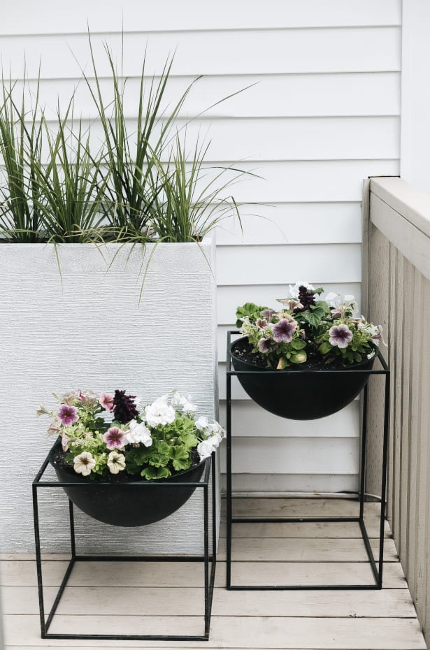 AnnetteTandeR's tweet photo. These plants can create a #midcenturymodern look on your #porch.  https://t.co/1Agp1yMrH3 https://t.co/RWj2VDlAcr