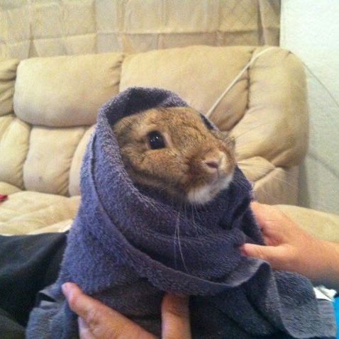 happy hyuka day!!🫶🎂