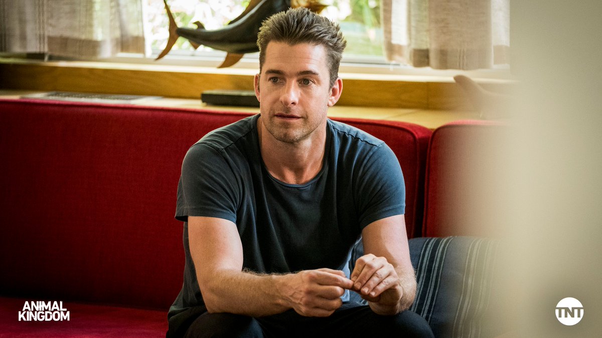 Show of ✋ who’s ready to see Baz again?! Scott Speedman is back on your screens TOMORROW at 9/8c! #AnimalKingdom
