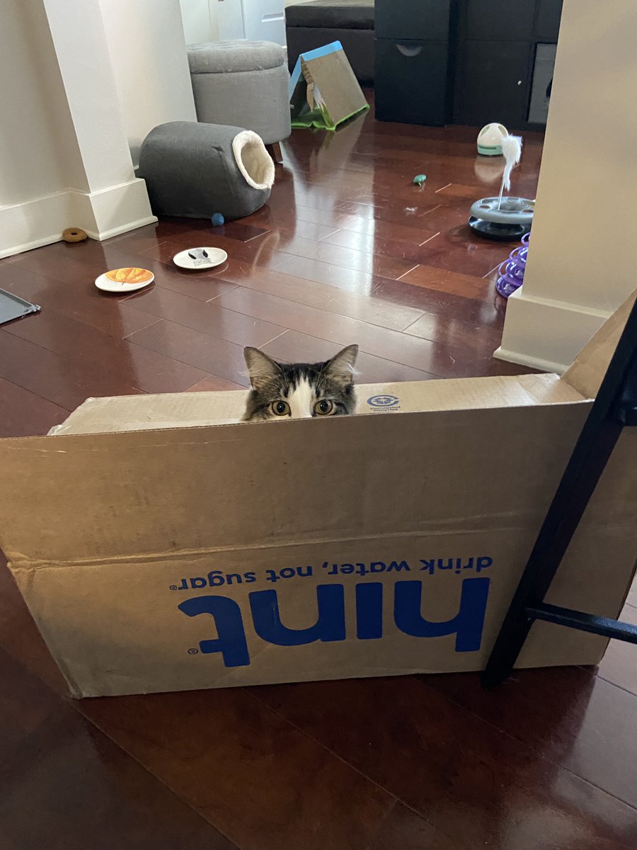 JulieDevito's tweet photo. Detective Olivia Benson says thanks for the box @Hint #hintwater #LawAndOrderSVU #oliviabenson https://t.co/uhyWn4vH8d