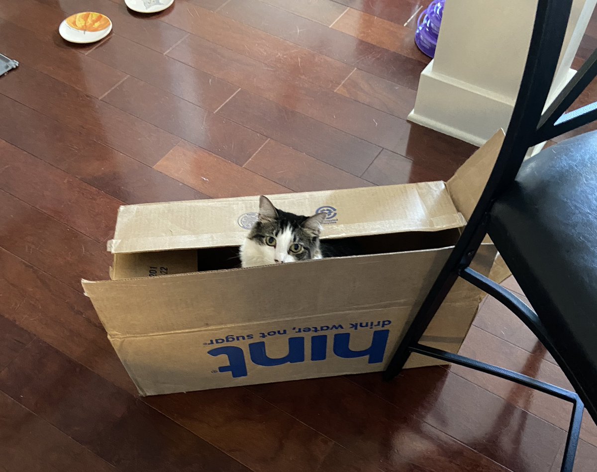 JulieDevito's tweet photo. Detective Olivia Benson says thanks for the box @Hint #hintwater #LawAndOrderSVU #oliviabenson https://t.co/uhyWn4vH8d