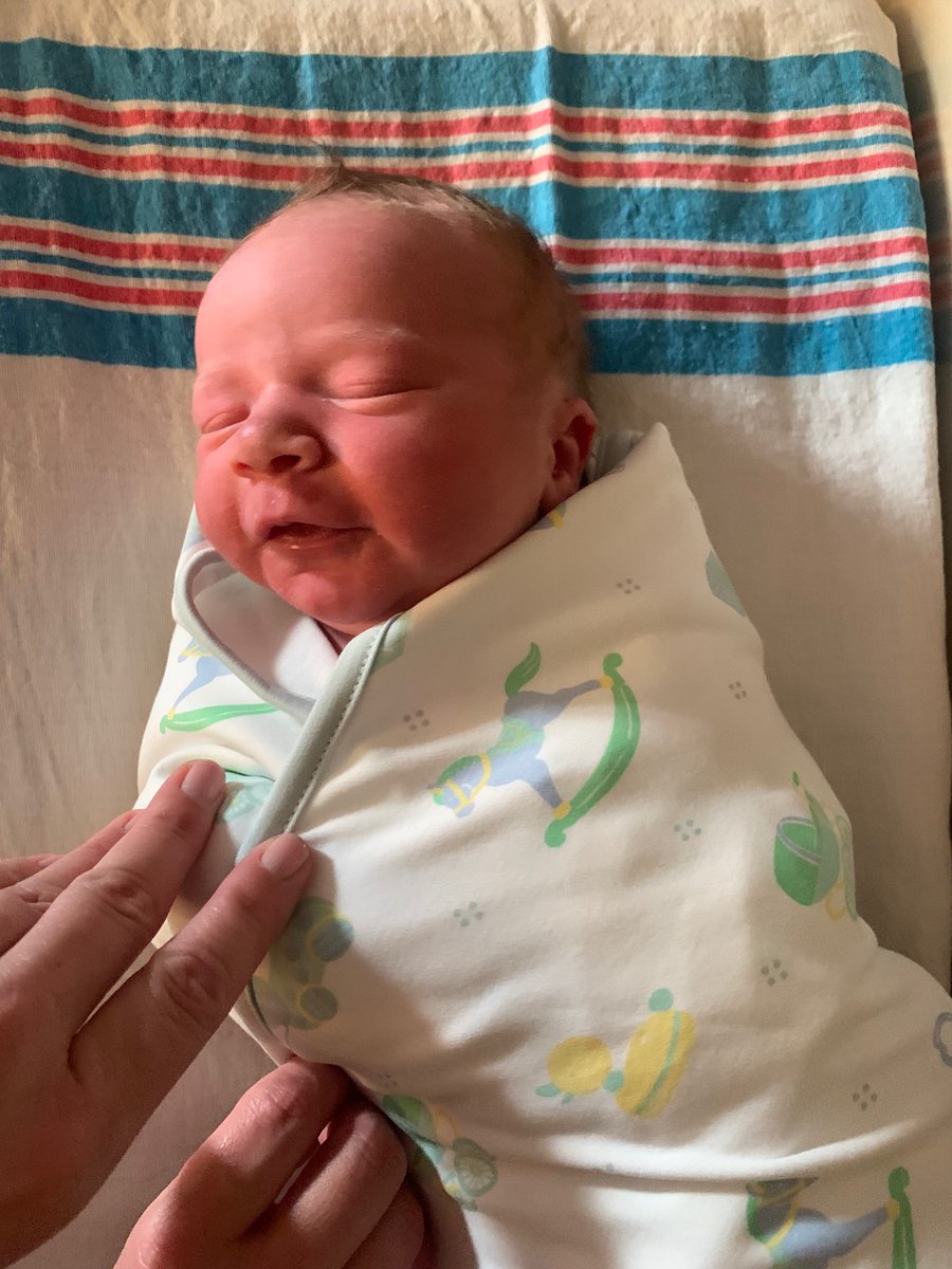 Tanner Koons tweet media