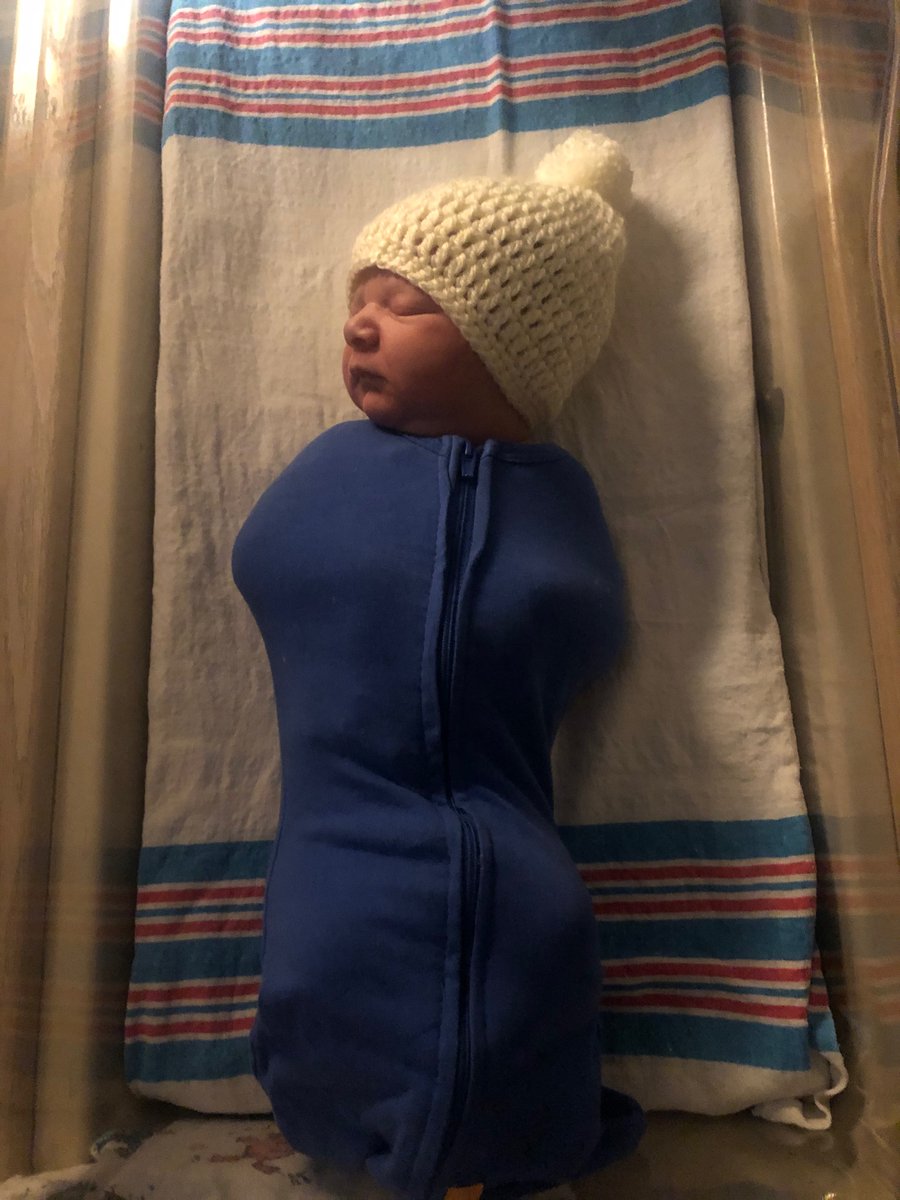 Tanner Koons tweet media